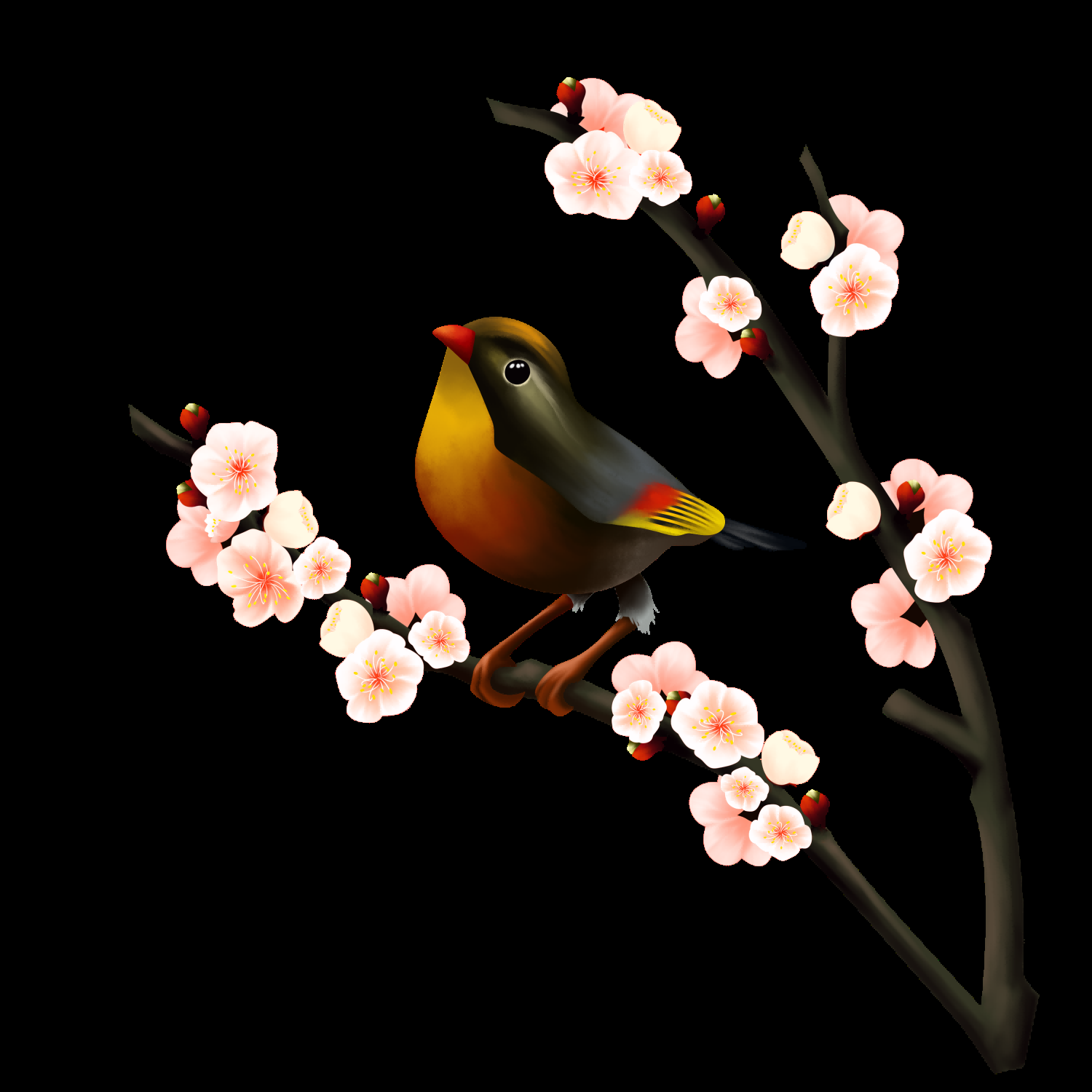 水彩手绘小鸟树枝花枝上的小鸟插画素材免抠20