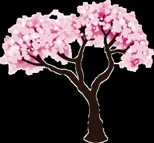 唯美樱花花树花枝樱花飘落图片装饰插图免抠17