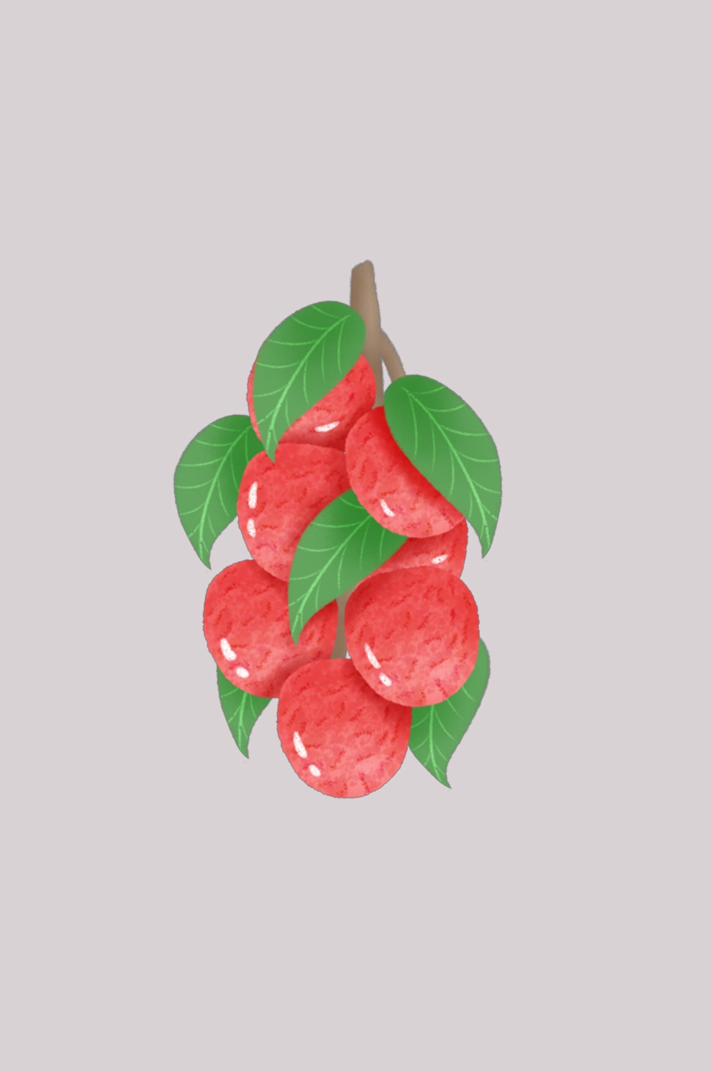 手绘荔枝图片素材装饰元素插画 png透明背景 (42)