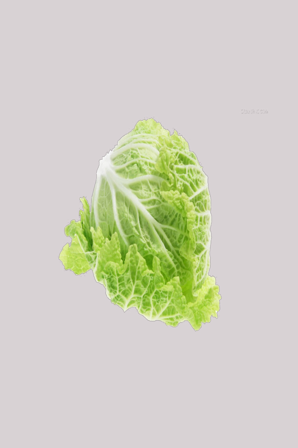蔬菜白菜图片实拍图素材 png透明背景 (8)