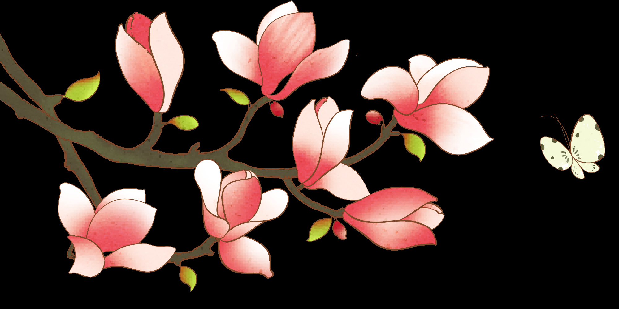 手绘淡雅玉兰花枝花朵装饰元素插图免抠素材24
