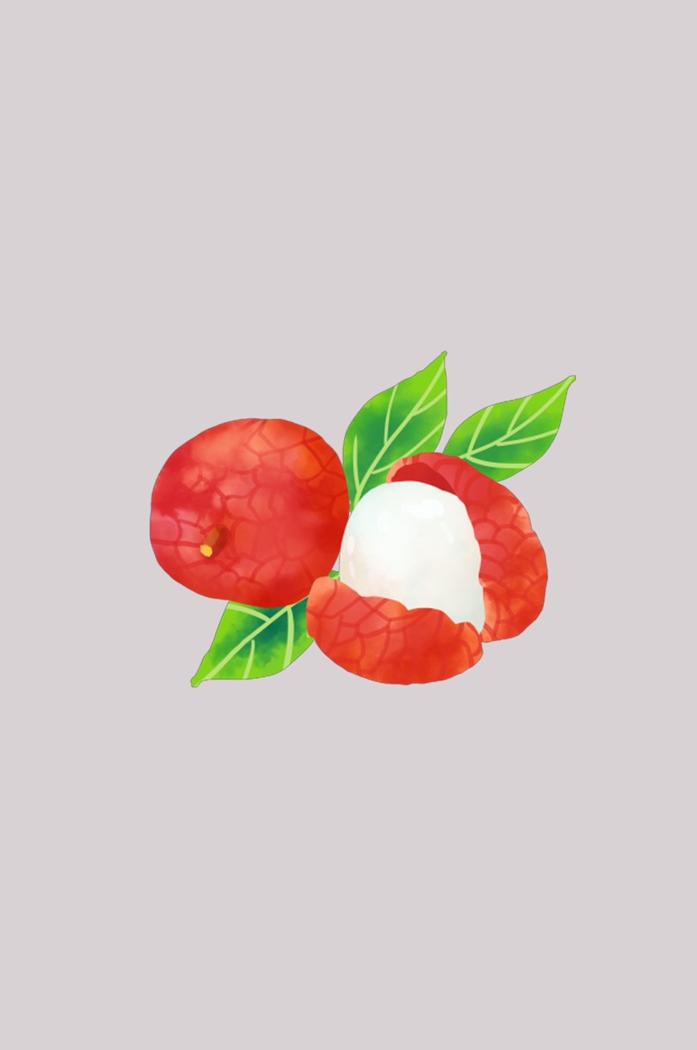 手绘荔枝图片素材装饰元素插画 png透明背景 (75)