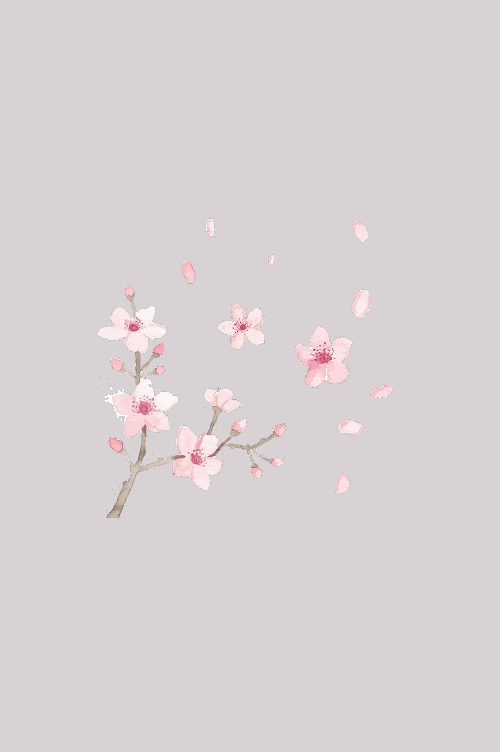 桃花素材图中国风海报设计桃树花枝透明背景24