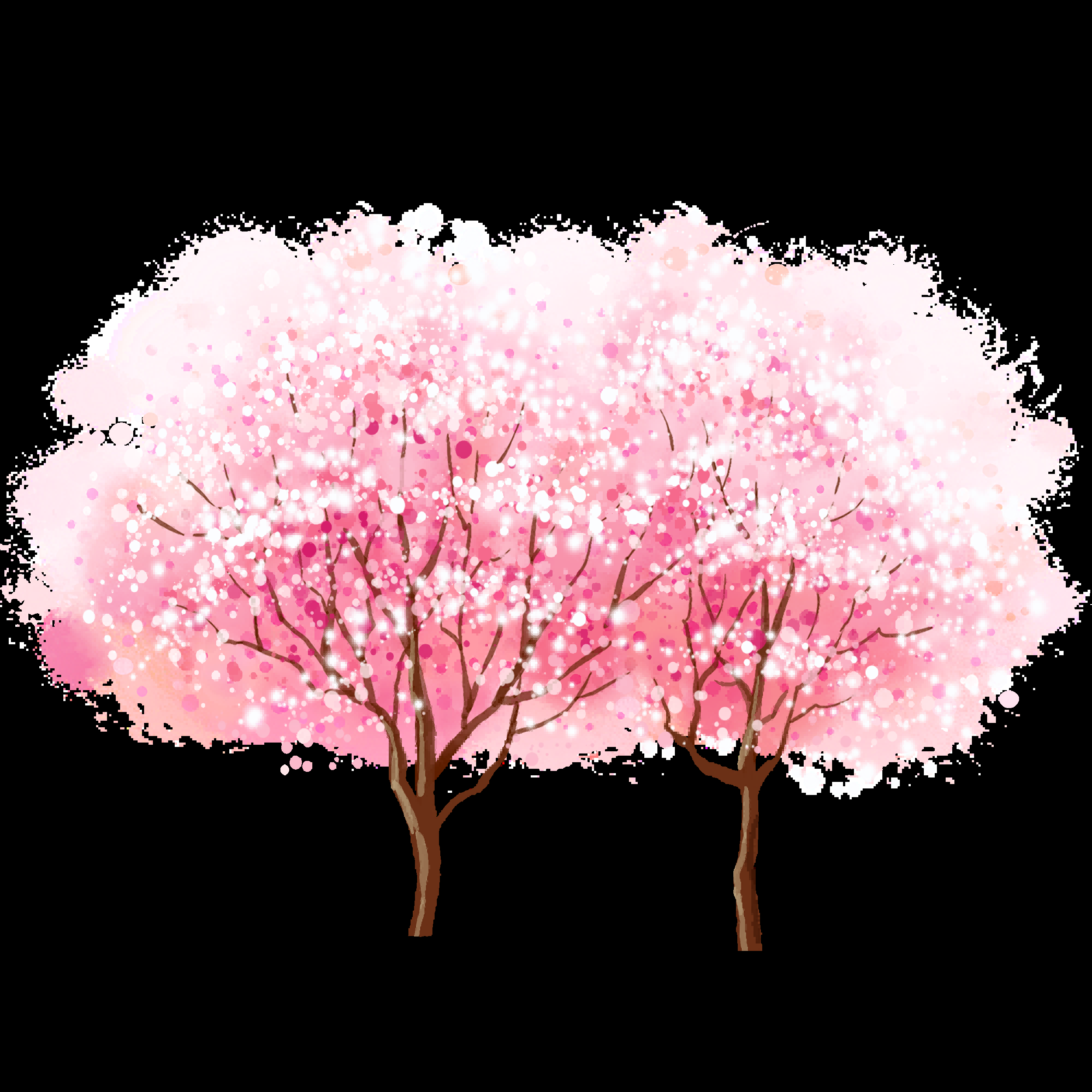 唯美樱花花树花枝樱花飘落图片装饰插图免抠7