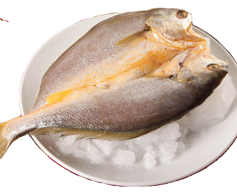 海鲜食材带鱼黄鱼素材图片元素插图免抠32