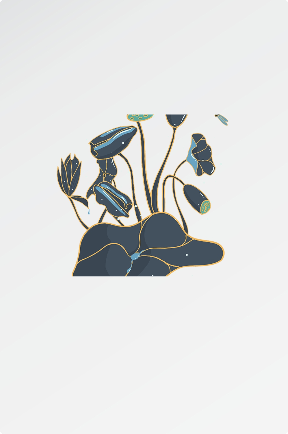 荷花荷叶素材图片插画装饰元素插图免抠36