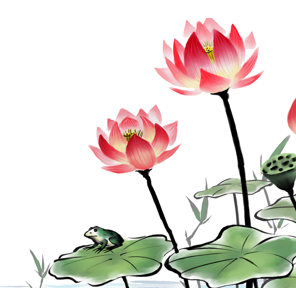 荷叶荷花素材插画装饰元素透明背景免抠素材59
