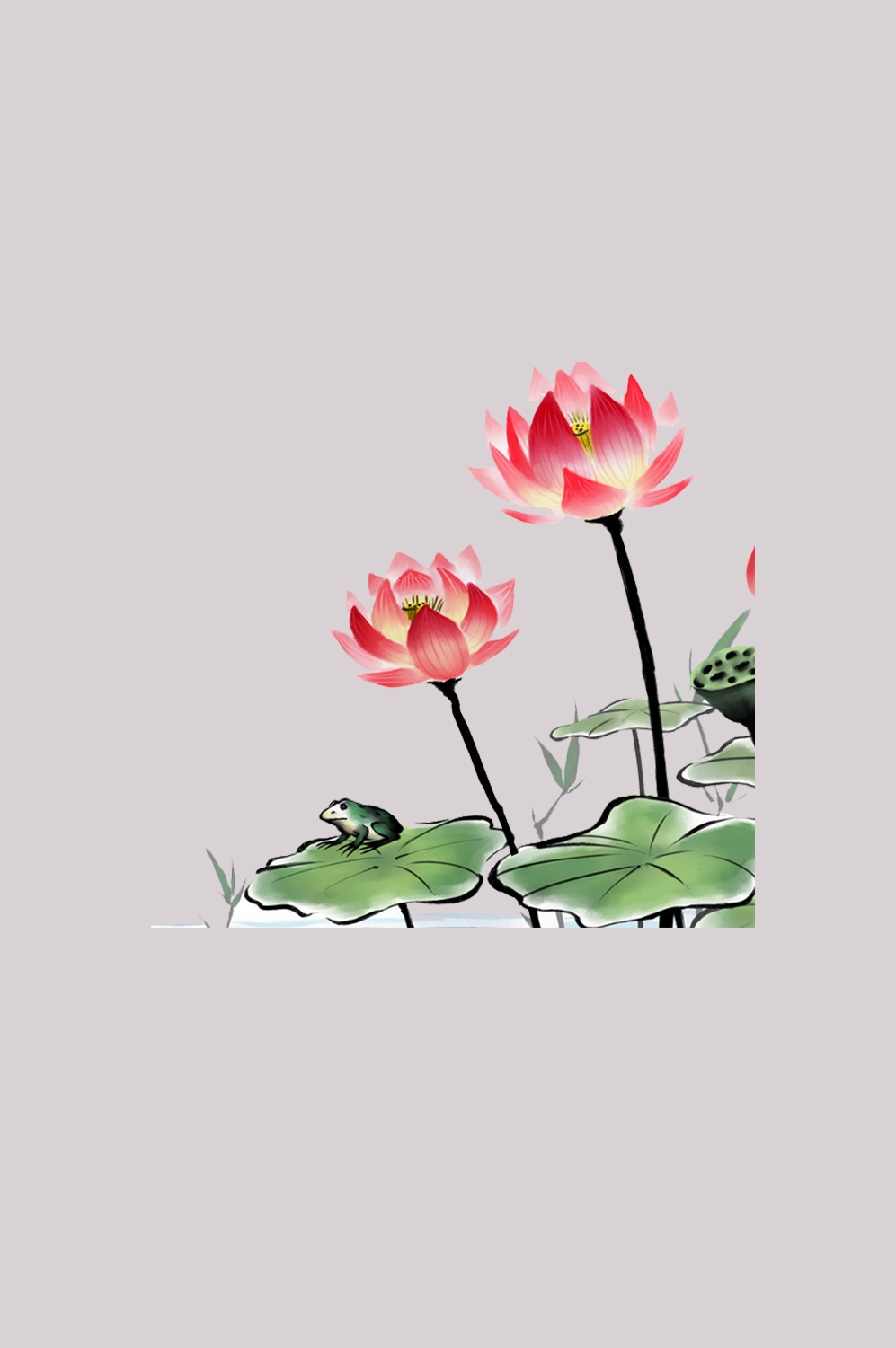 荷叶荷花素材插画装饰元素透明背景免抠素材59