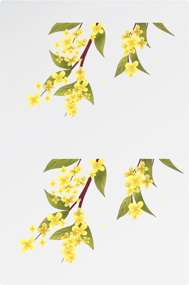 卡通手绘桂花花枝图案素材元素33