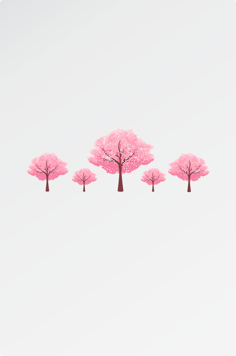 唯美樱花花树花枝樱花飘落图片装饰插图免抠37