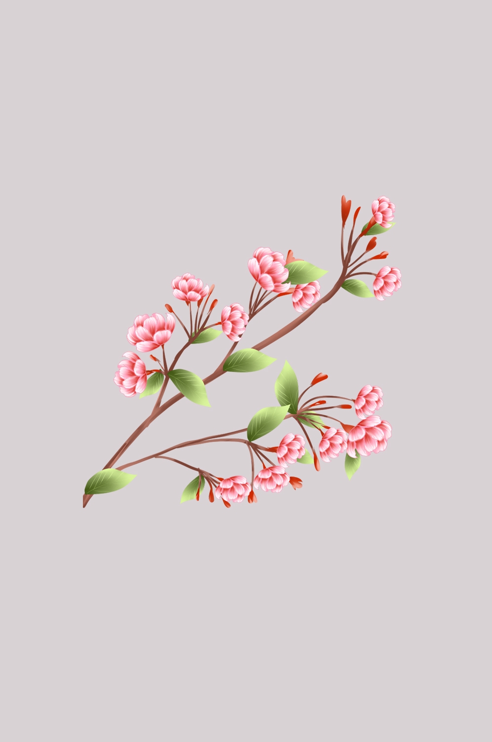 海棠花免抠元素装饰图案插画18