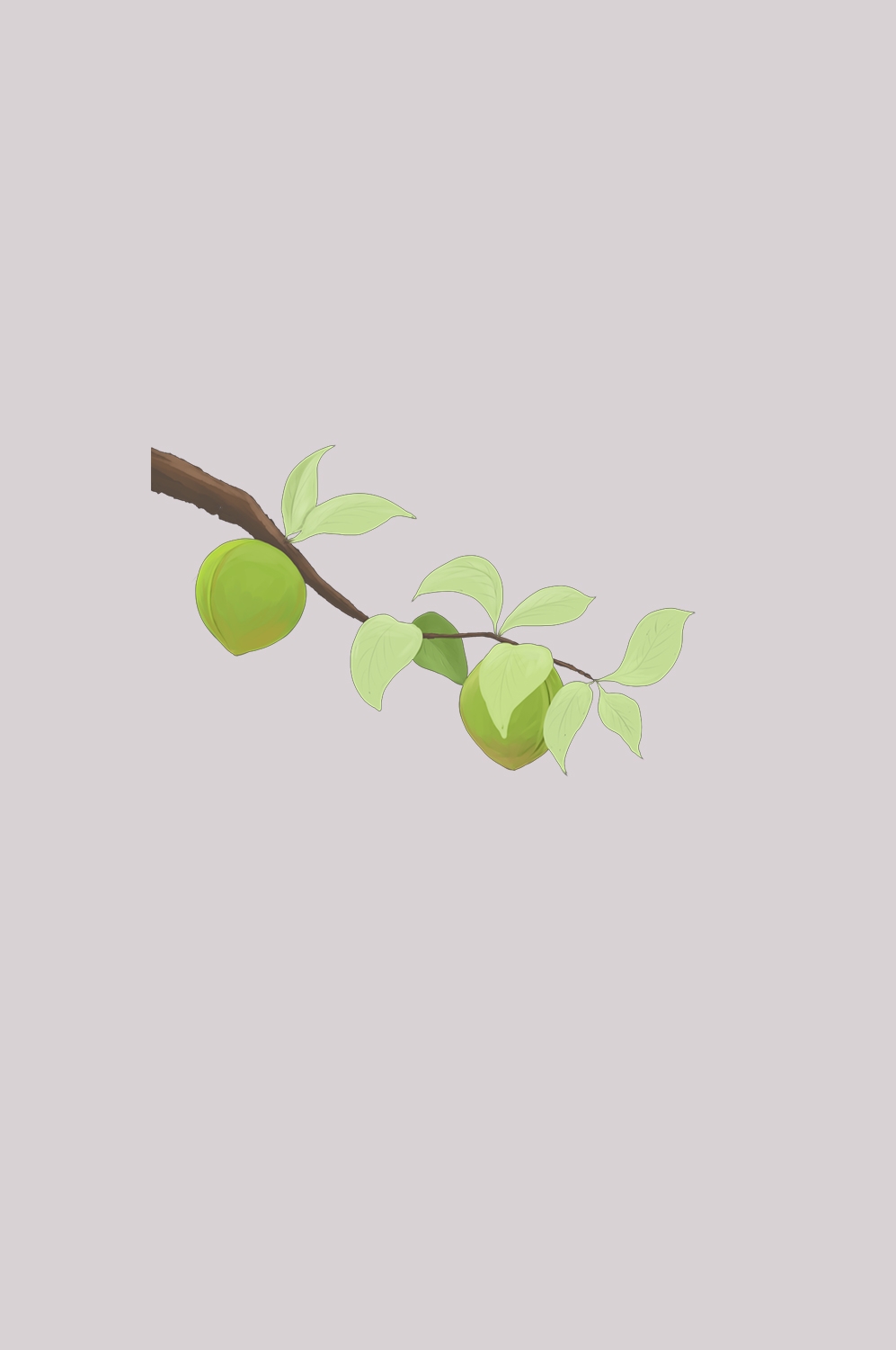 卡通手绘水果青梅图案素材图片装饰插画免抠56
