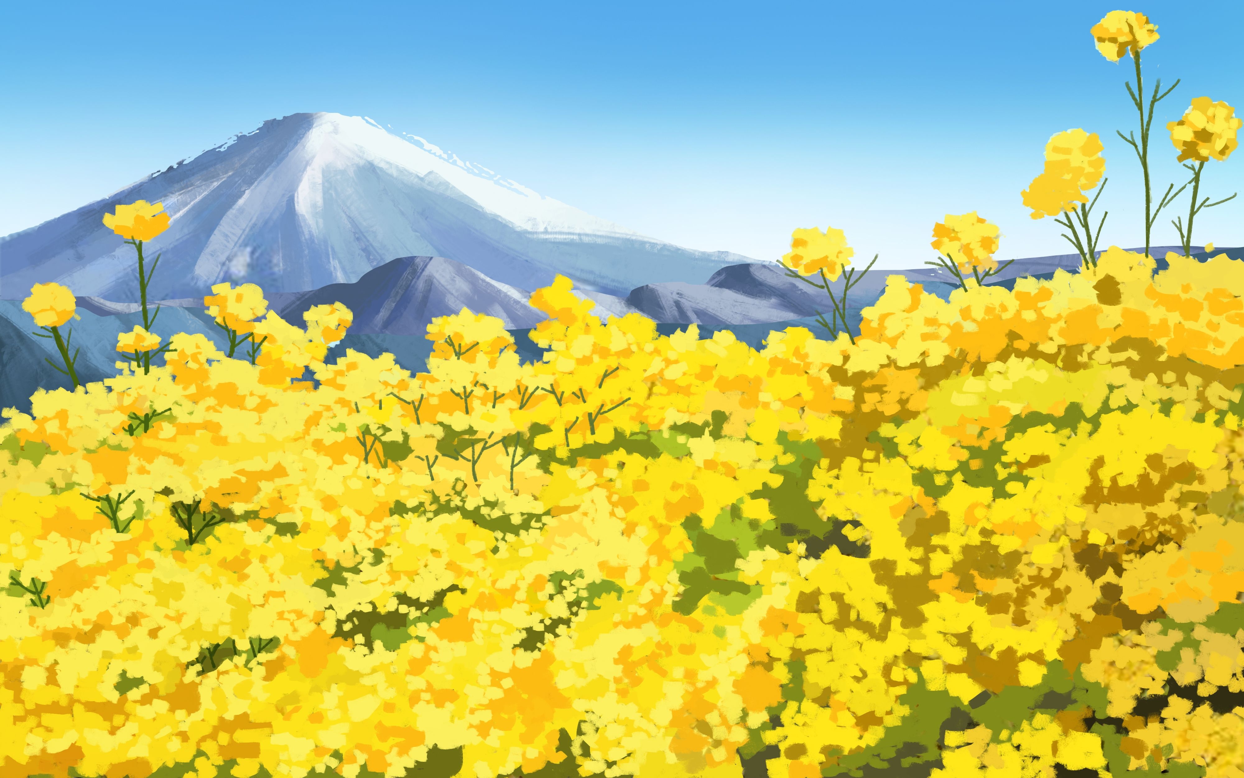 油菜花开田野风景背景插画图片banner海报22