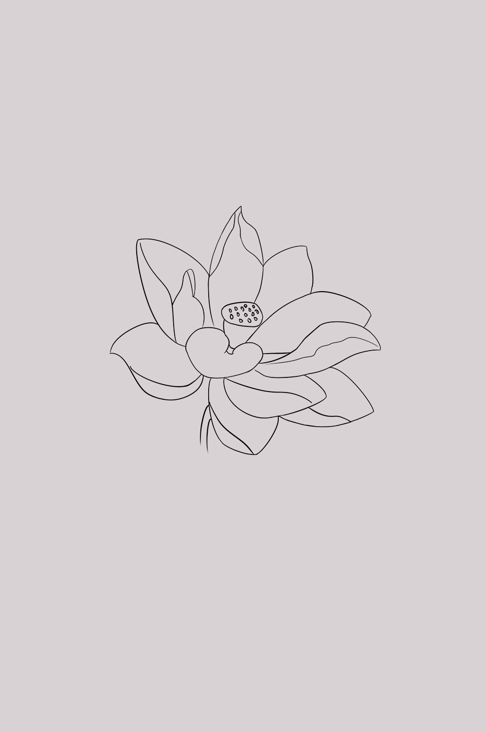 荷叶荷花素材插画装饰元素透明背景免抠素材49