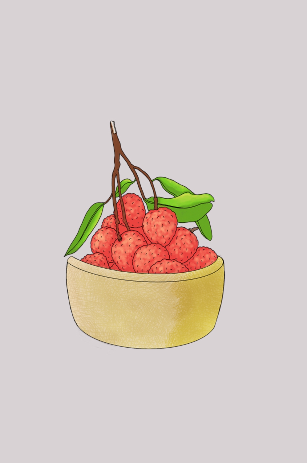 手绘荔枝图片素材装饰元素插画 png透明背景 (9)