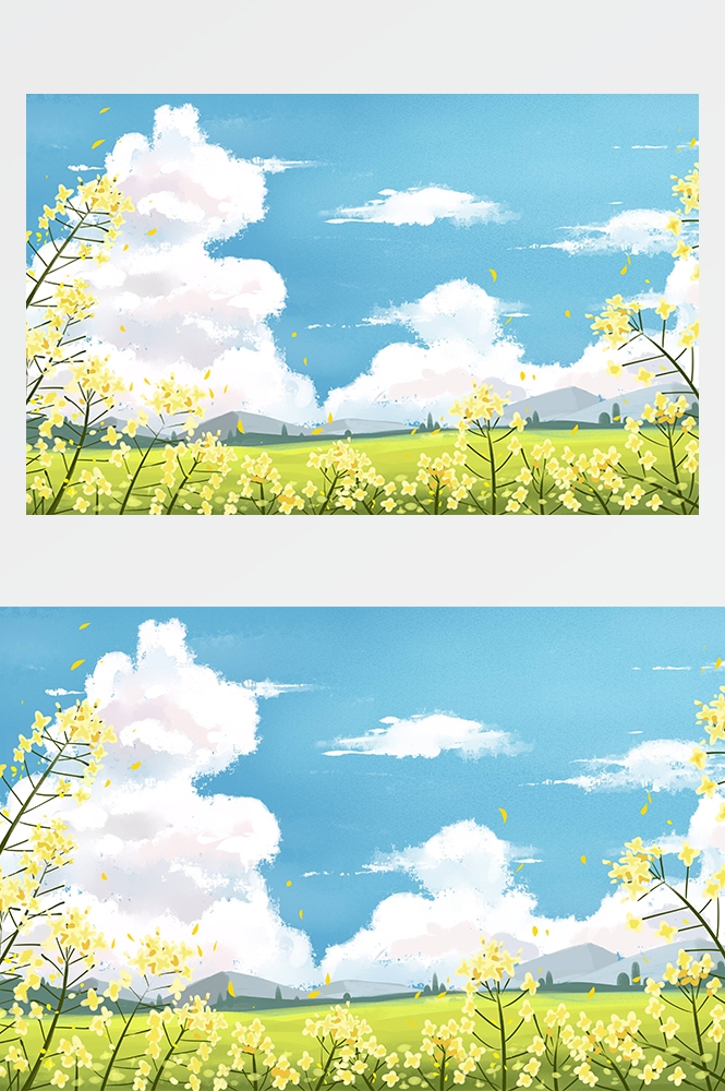 油菜花开田野风景背景插画图片banner海报1