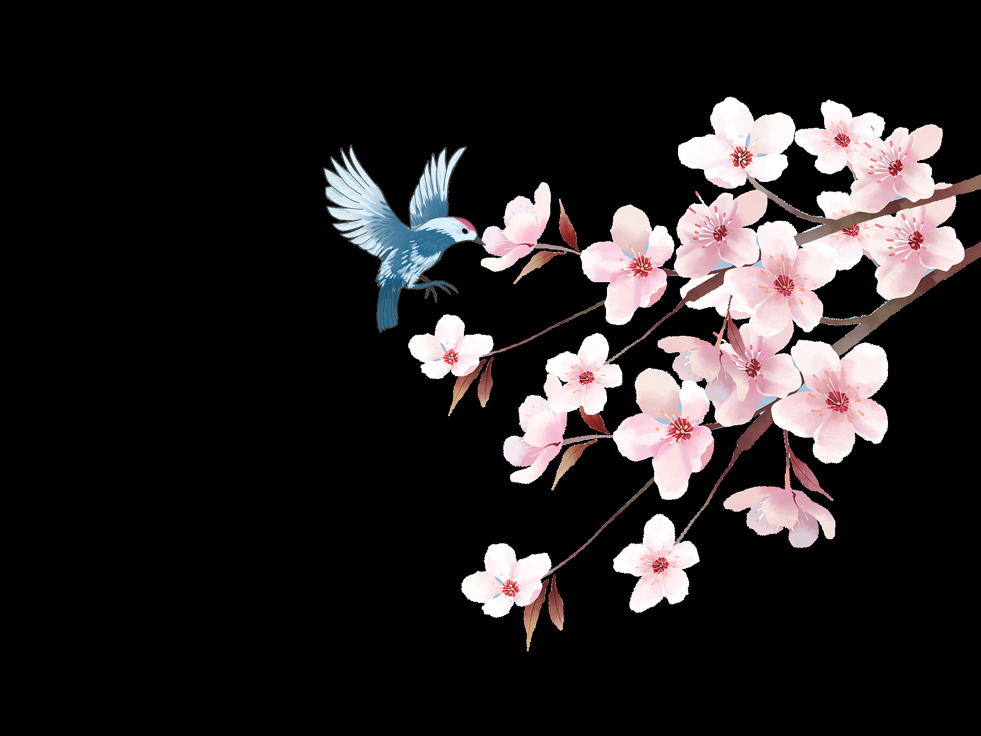 唯美樱花花树花枝樱花飘落图片装饰插图免抠49