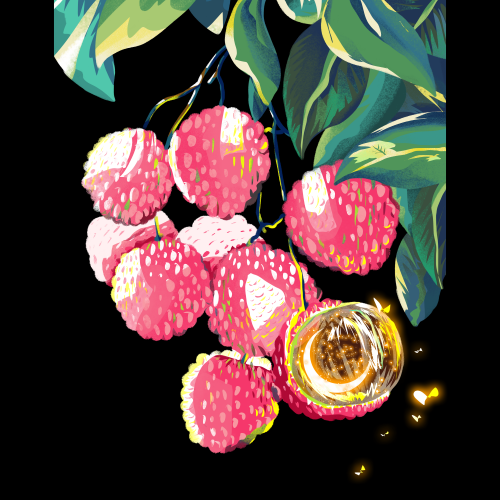 手绘荔枝图片素材装饰元素插画 png透明背景 (12)