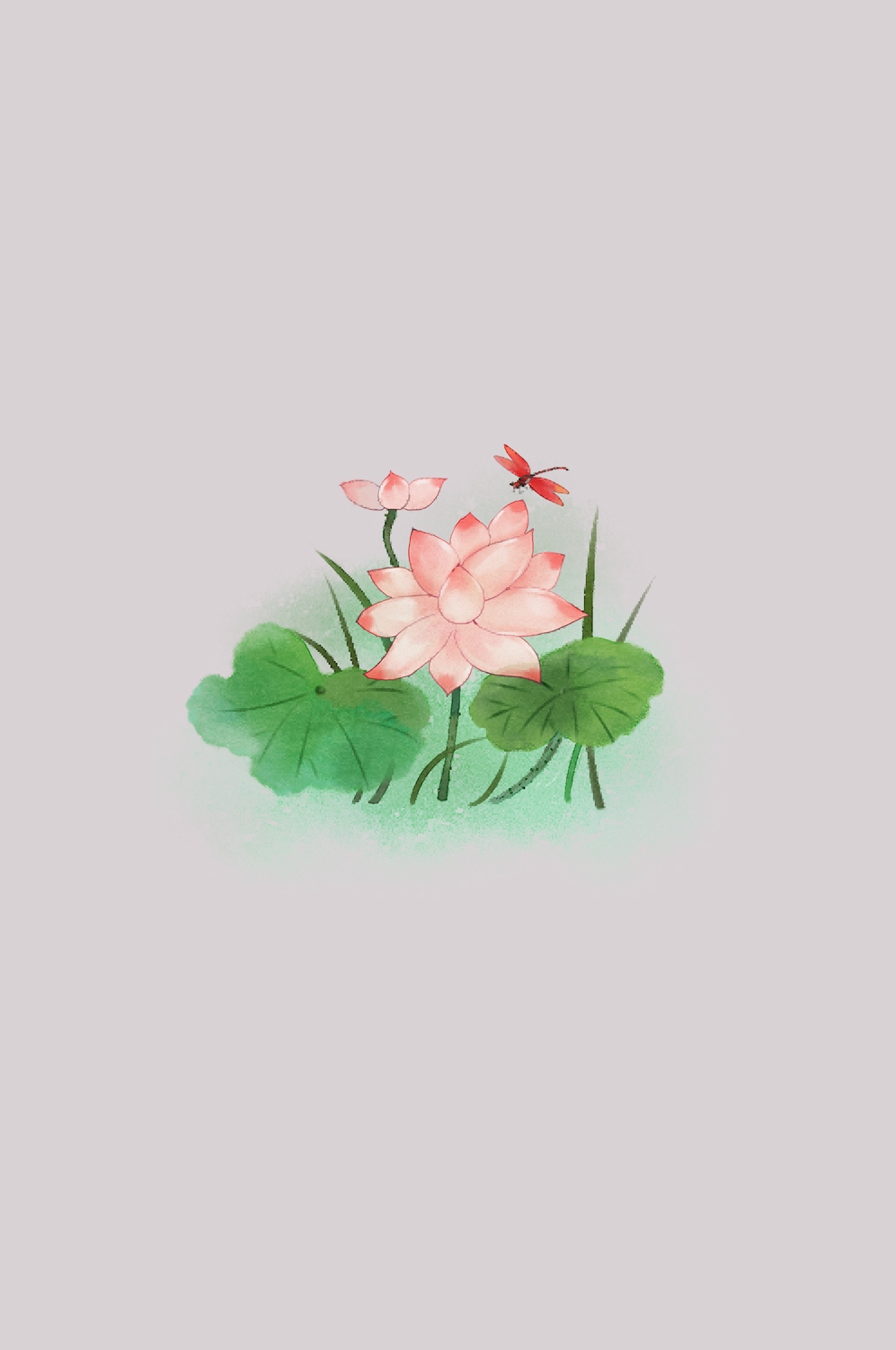 荷叶荷花素材插画装饰元素透明背景免抠素材23