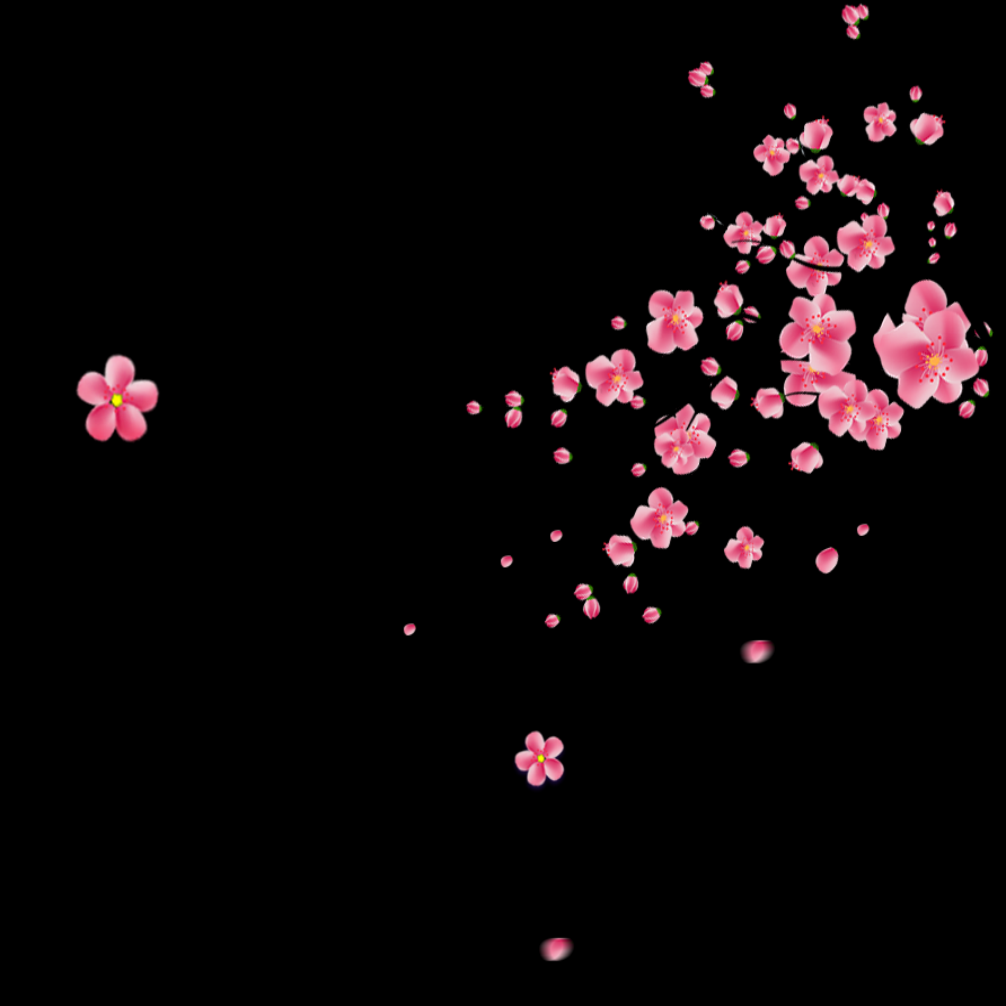 桃花素材图中国风海报设计桃树花枝透明背景20