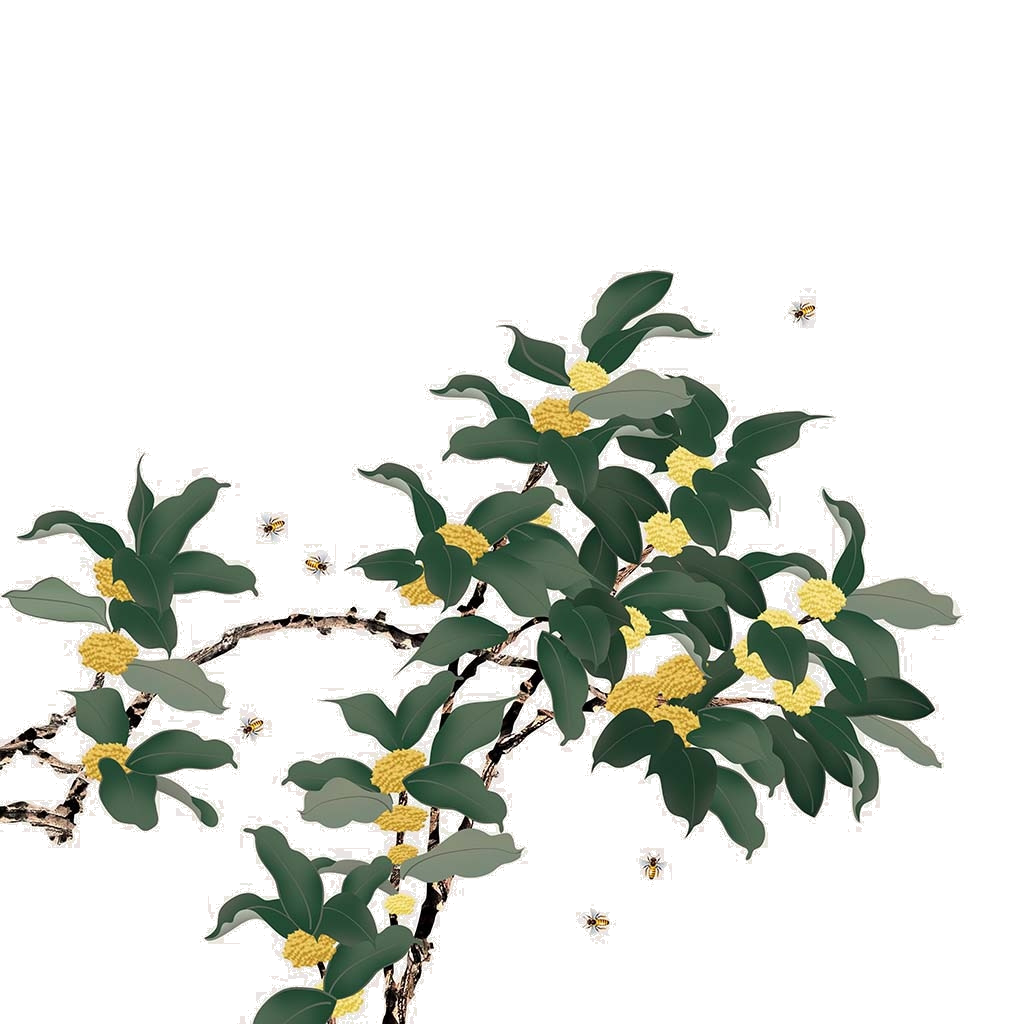 卡通手绘桂花花枝图案素材元素44