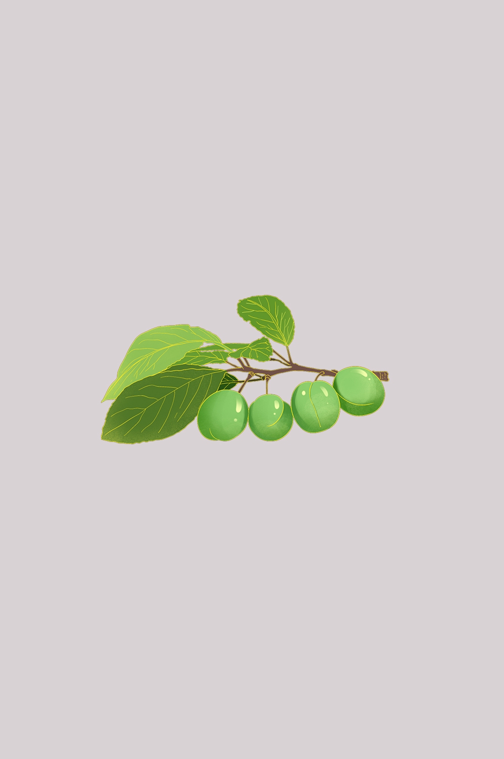 卡通手绘水果青梅图案素材图片装饰插画免抠99