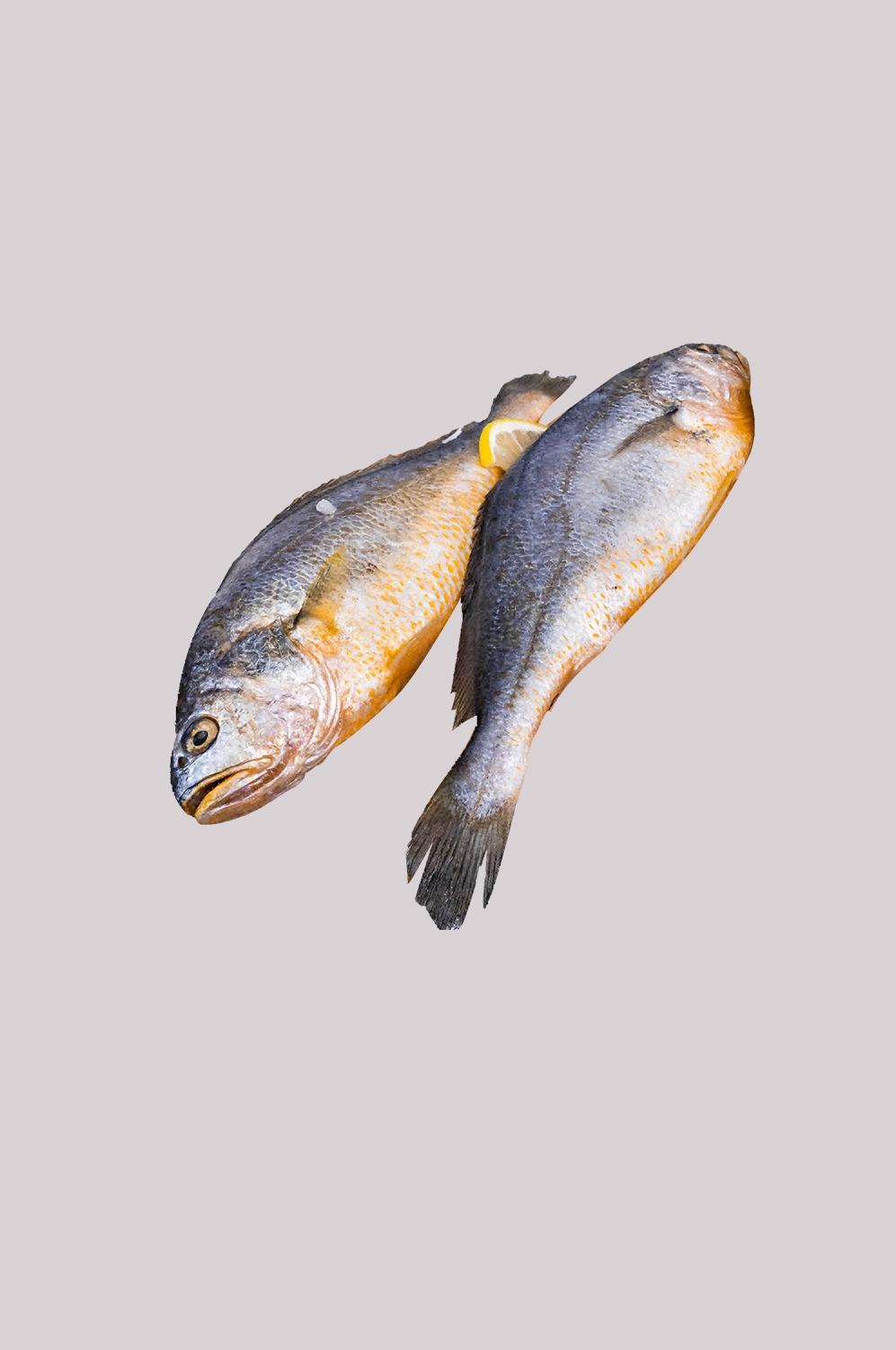 海鲜食材带鱼黄鱼素材图片元素插图免抠72