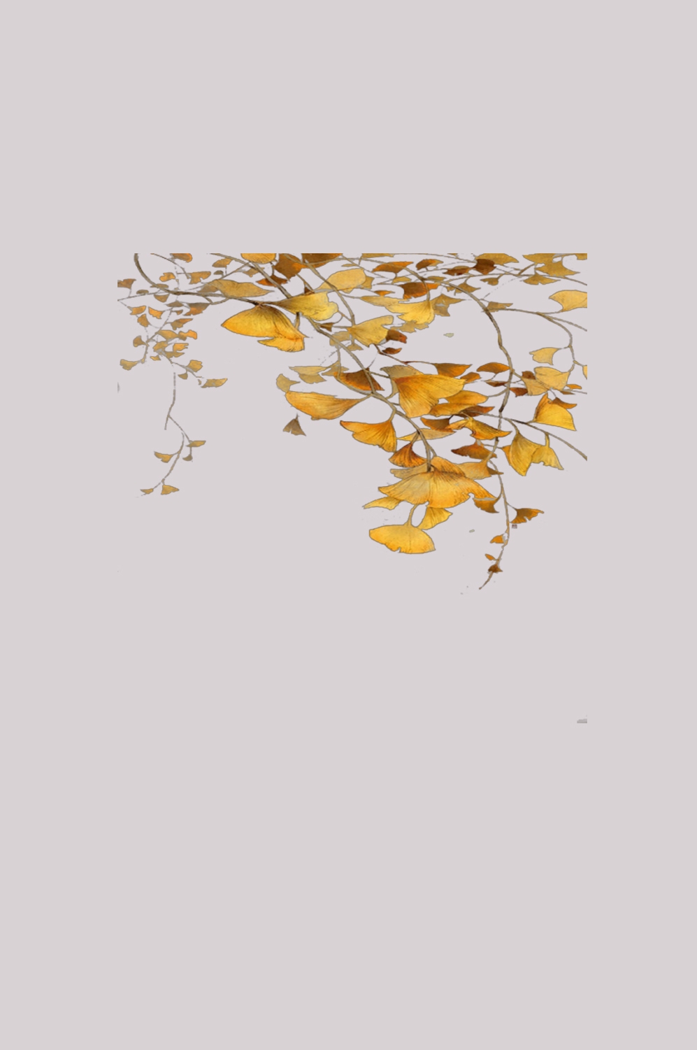 银杏叶树枝插画装饰元素免抠素材48