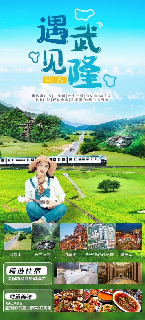 四川成都九寨沟武隆峨眉山都江堰三星堆大熊猫旅游海报87