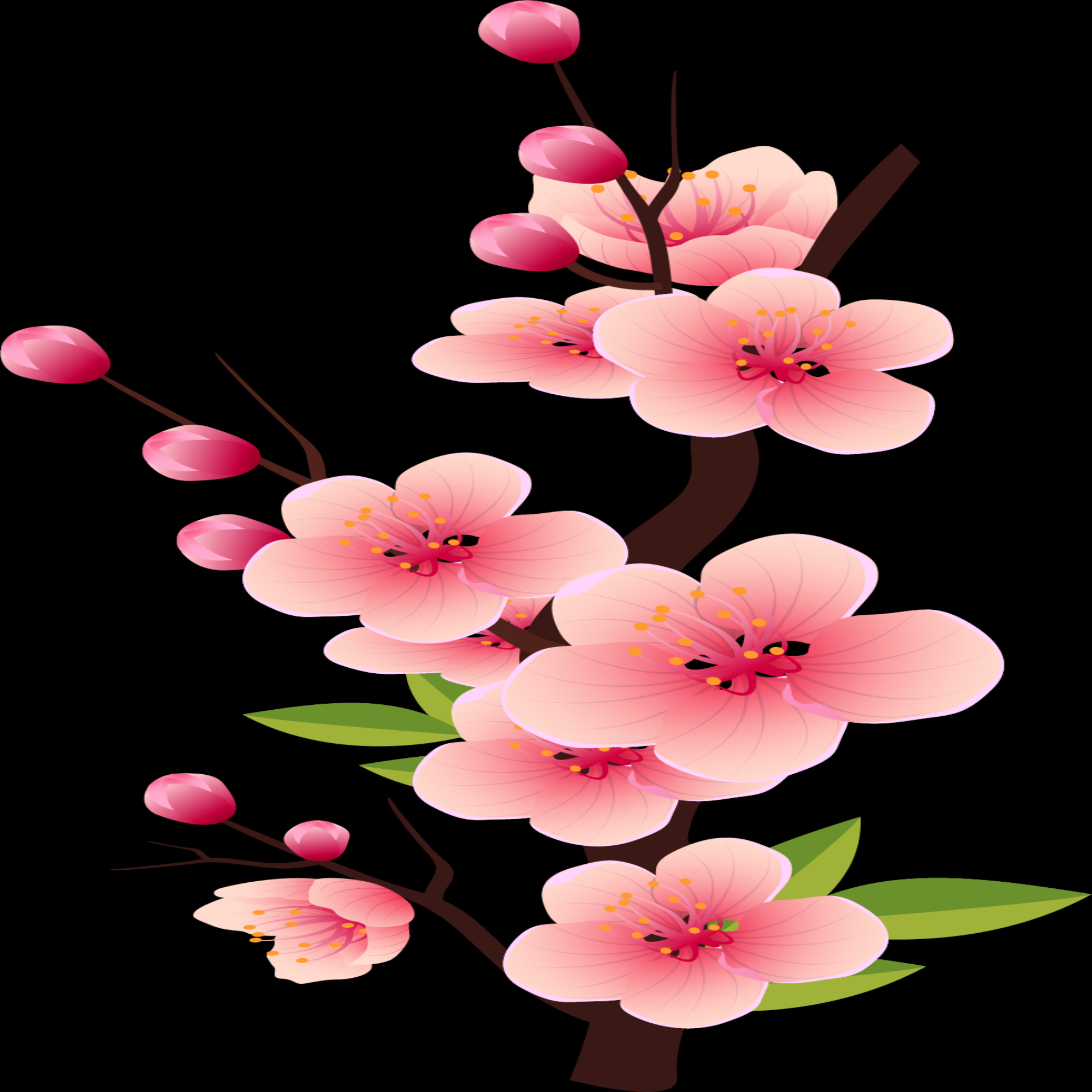桃花素材图中国风海报设计桃树花枝透明背景10