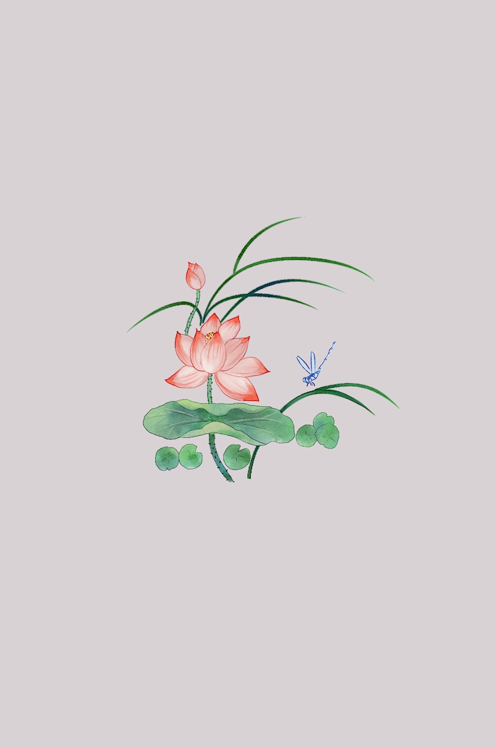 荷叶荷花素材插画装饰元素透明背景免抠素材24