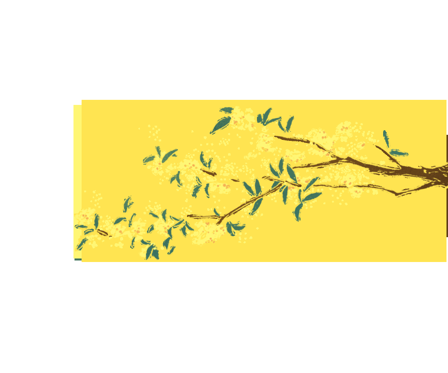 卡通手绘桂花花枝图案素材元素24