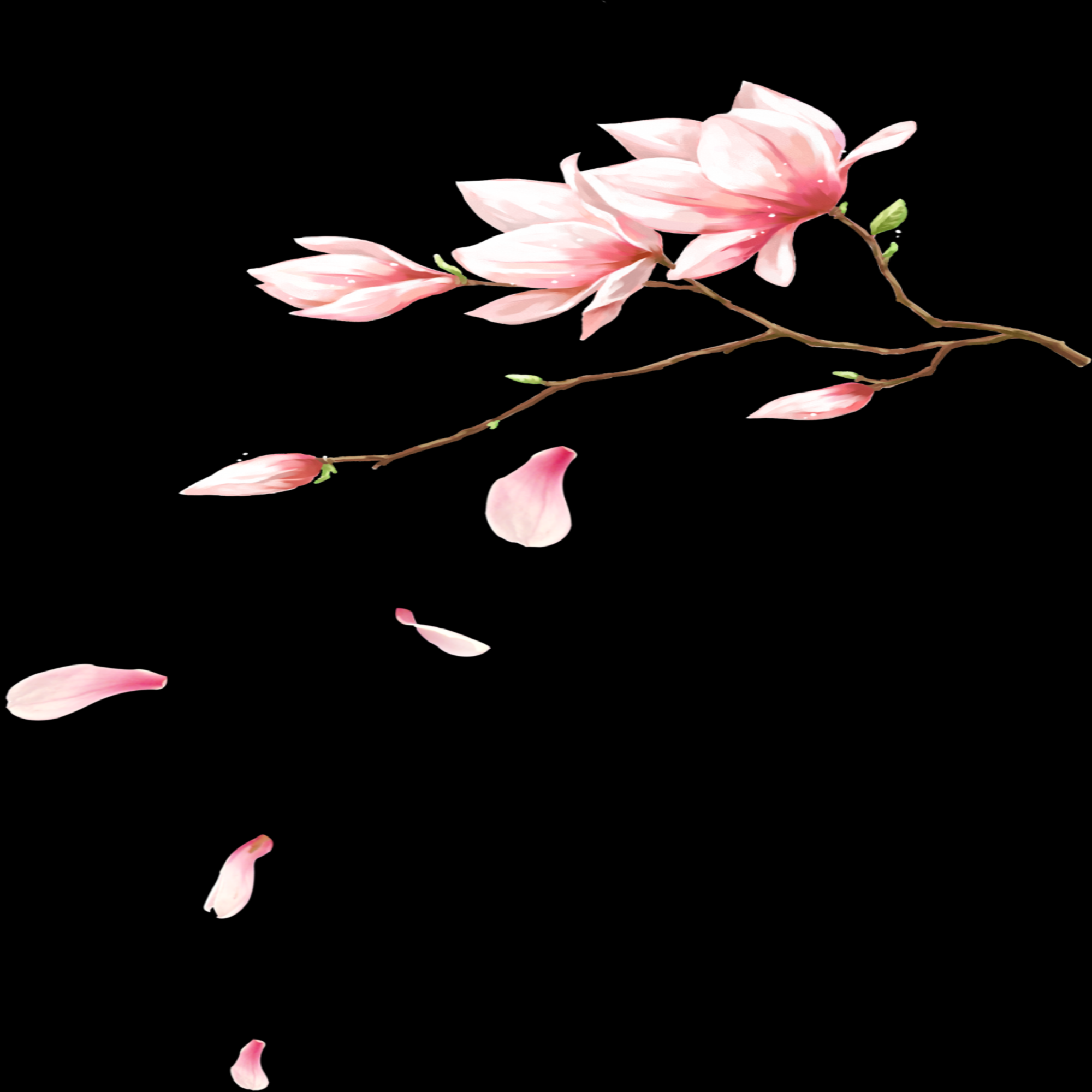 桃花素材图中国风海报设计桃树花枝透明背景76