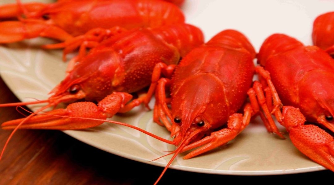 餐饮美食海报模板麻辣小龙虾香辣虾促销宣传广告素材 (65)