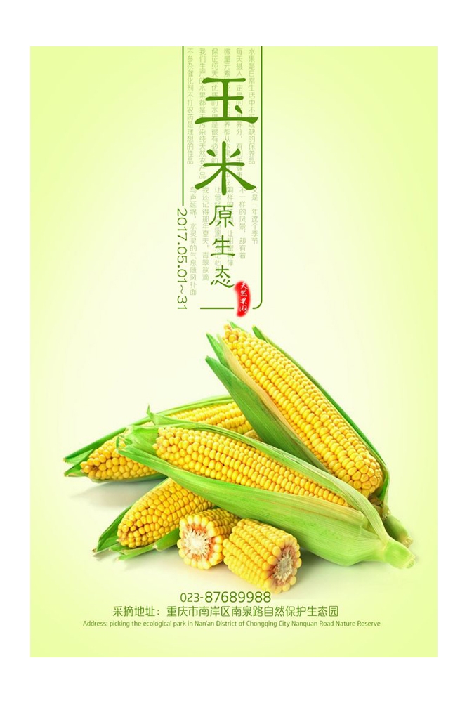 餐饮美食PSD海报背景模板优质玉米食材促销宣传单广告设计素材 (7)