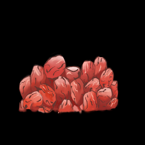 卡通手绘红枣图片素材装饰元素插画 png透明背景 (45)