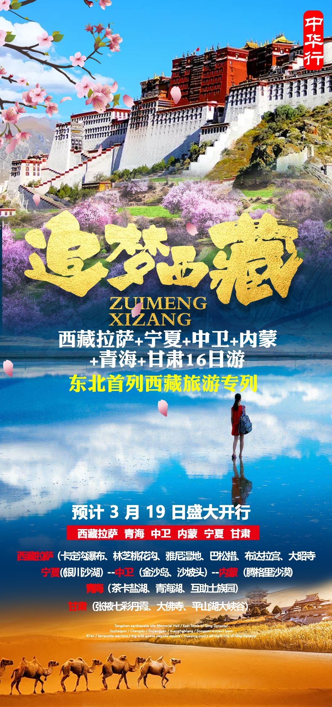 西藏拉萨布达拉宫川藏藏南灵芝日喀则海报易拉宝素材65