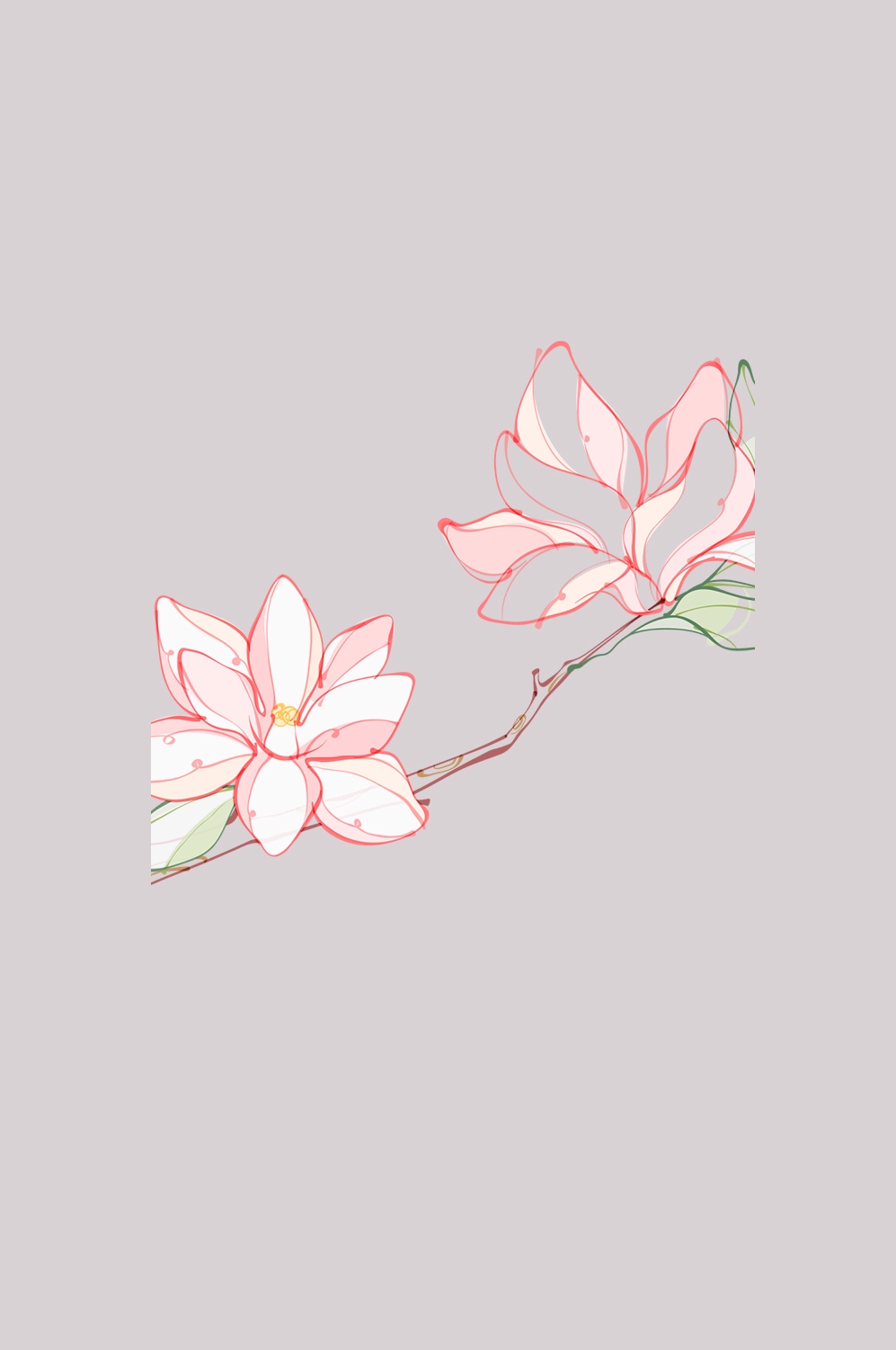 手绘淡雅玉兰花枝花朵装饰元素插图免抠素材49
