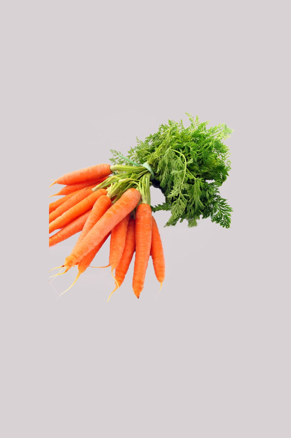 蔬菜食材切开的胡萝卜免抠元素96
