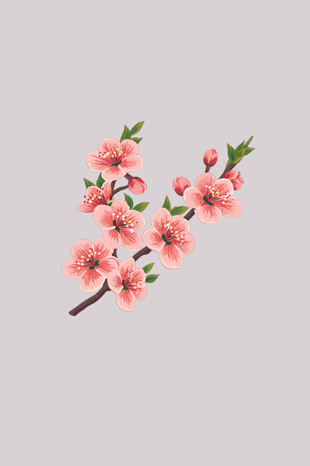 桃花素材图中国风海报设计桃树花枝透明背景79