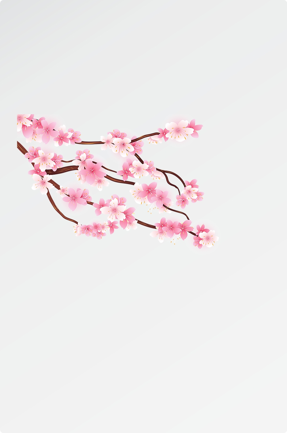 唯美樱花花树花枝樱花飘落图片装饰插图免抠50