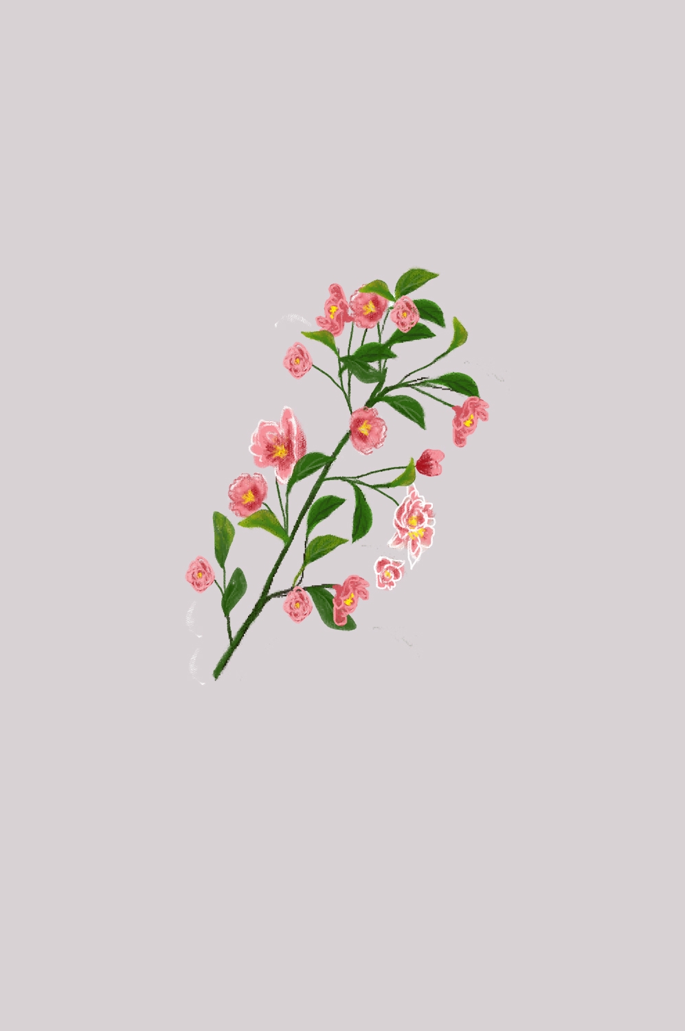 海棠花免抠元素装饰图案插画15