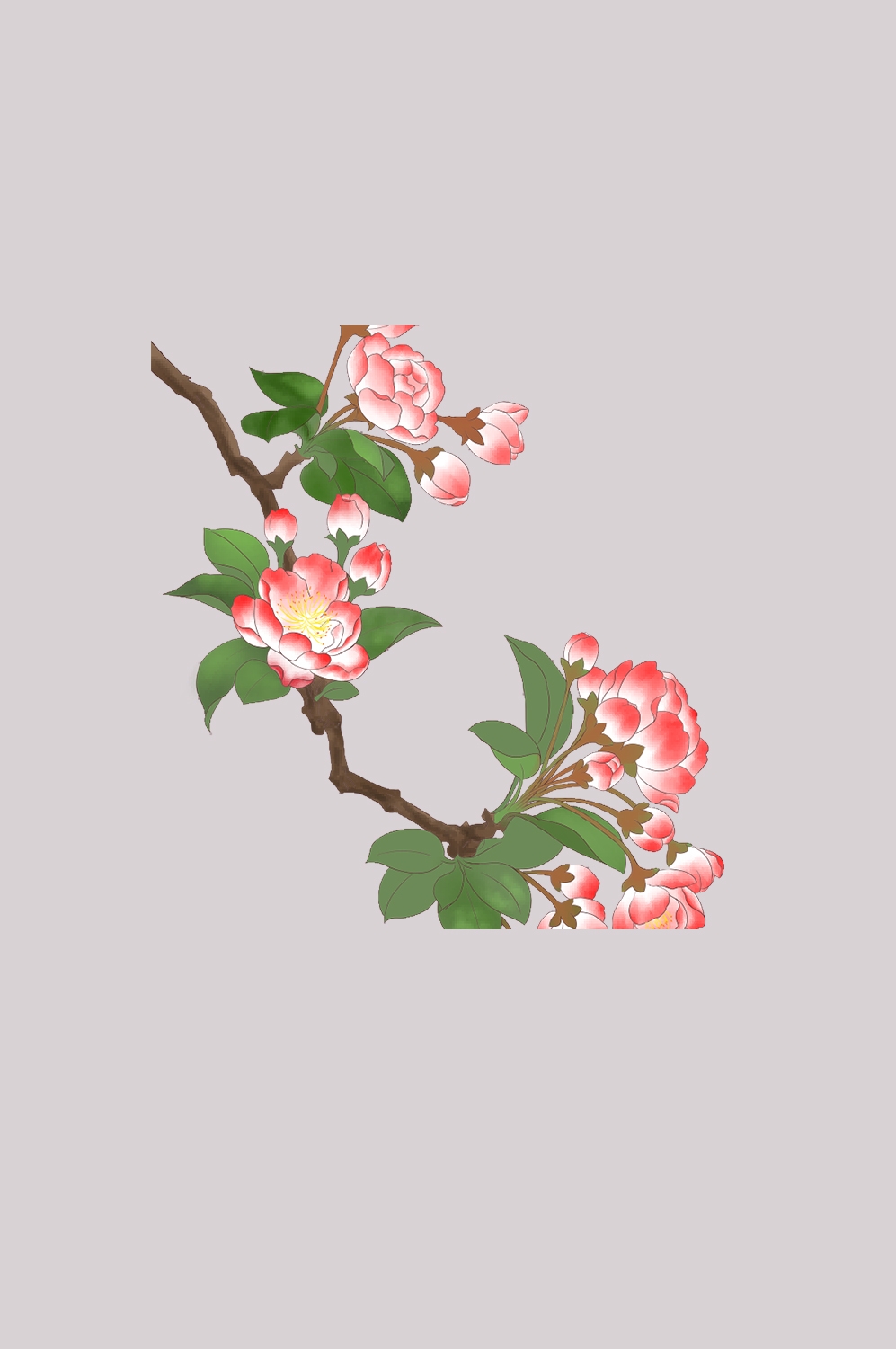 海棠花免抠元素装饰图案插画23