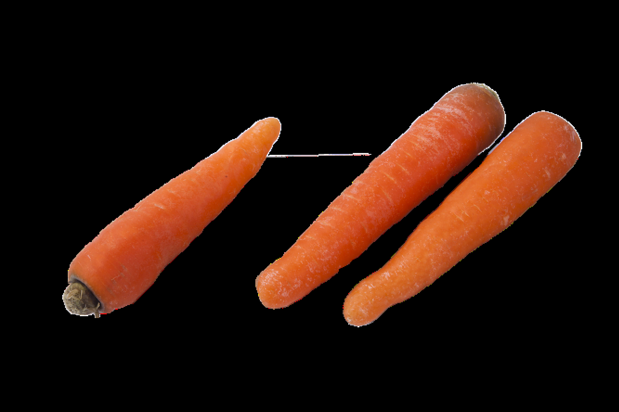 蔬菜食材切开的胡萝卜免抠元素23