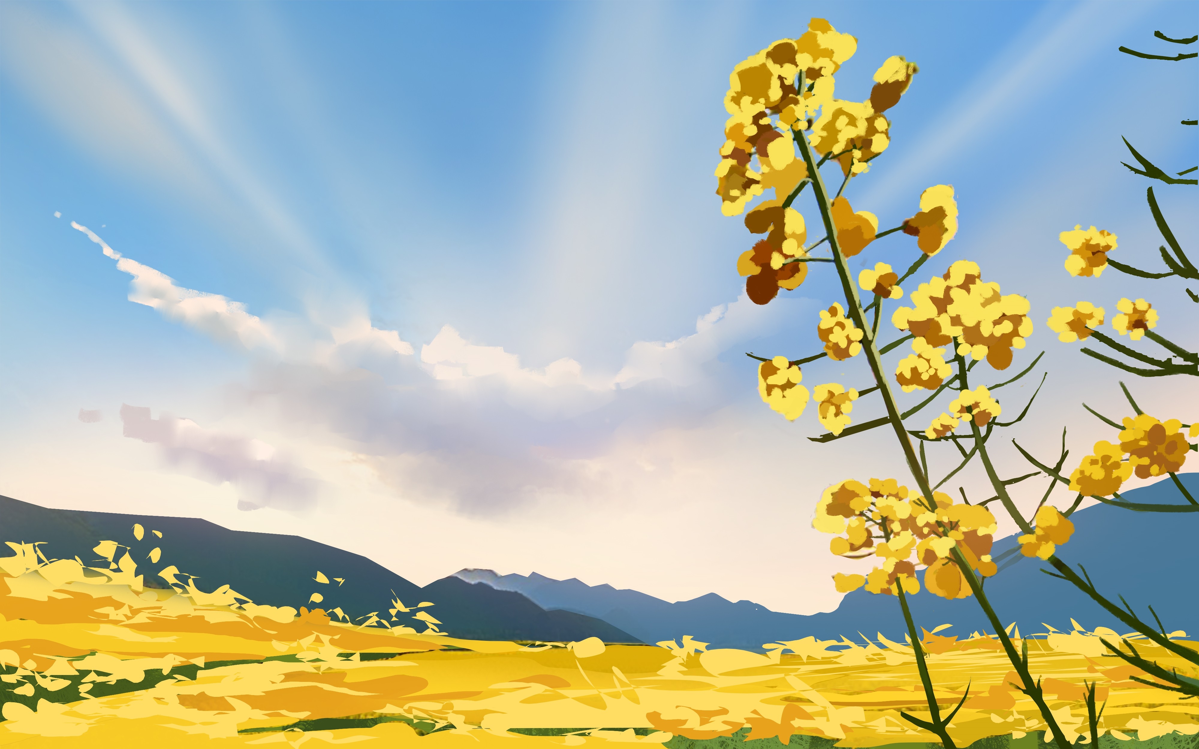油菜花开田野风景背景插画图片banner海报20