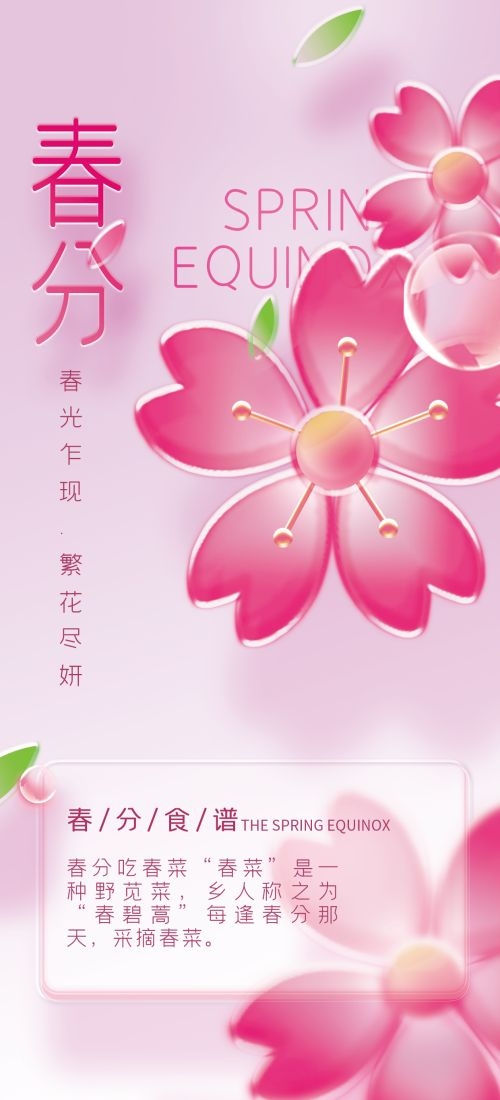 春分时令节气节日促销宣传插画背景海报15