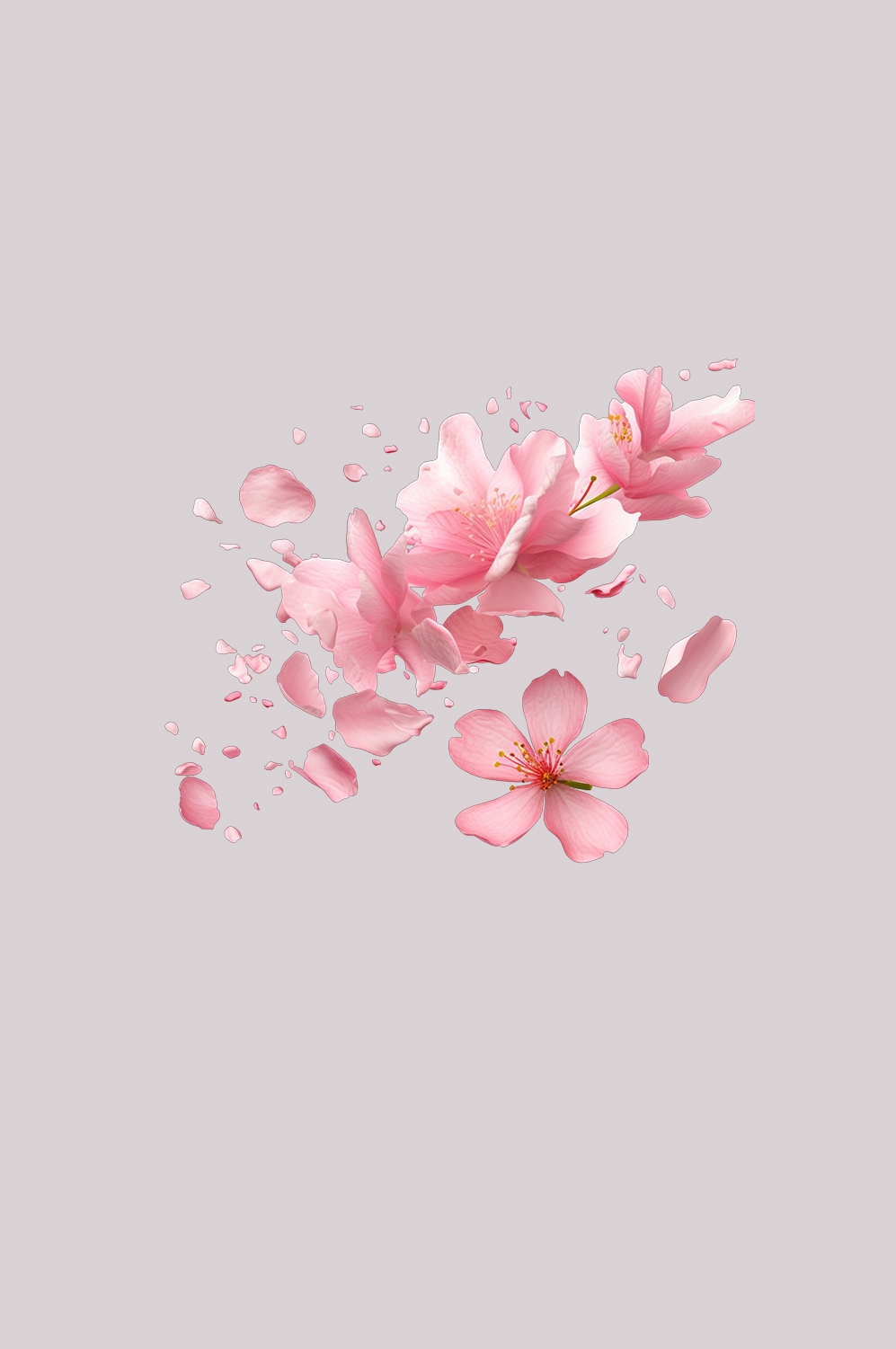 桃花素材图中国风海报设计桃树花枝透明背景82