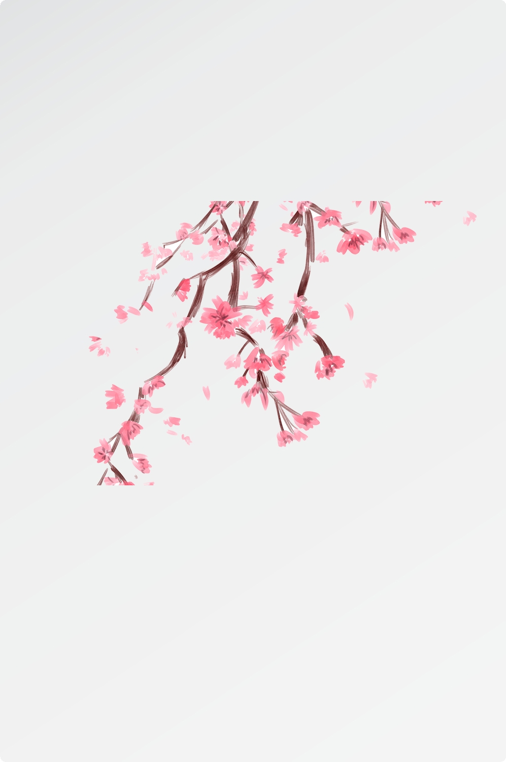 唯美樱花花树花枝樱花飘落图片装饰插图免抠48