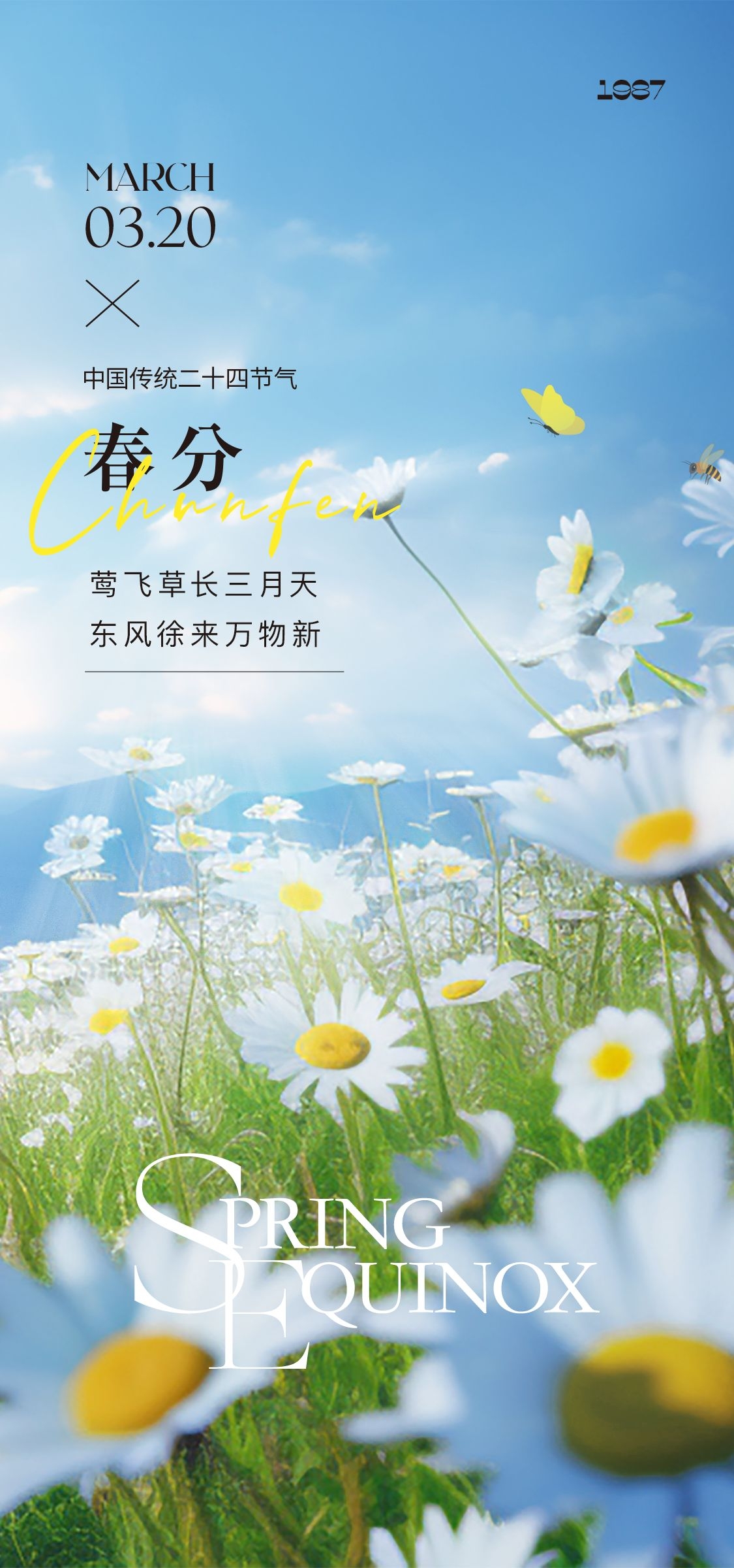 二十四24节气春分海报设计地产企业推广宣传插画 (50)