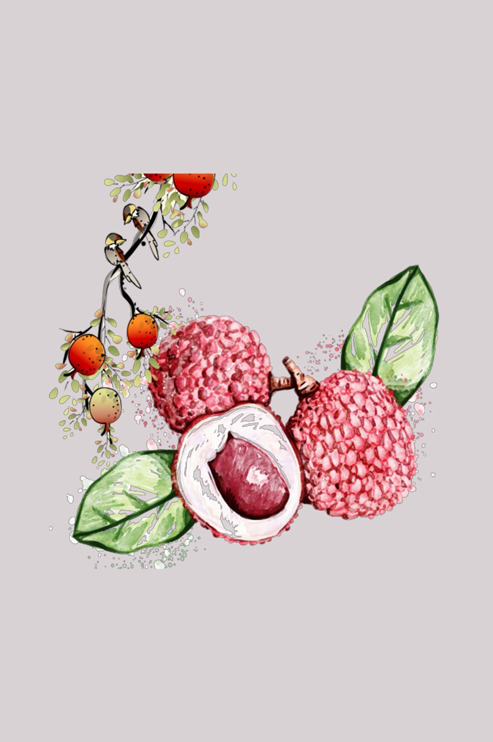 手绘荔枝图片素材装饰元素插画 png透明背景 (25)